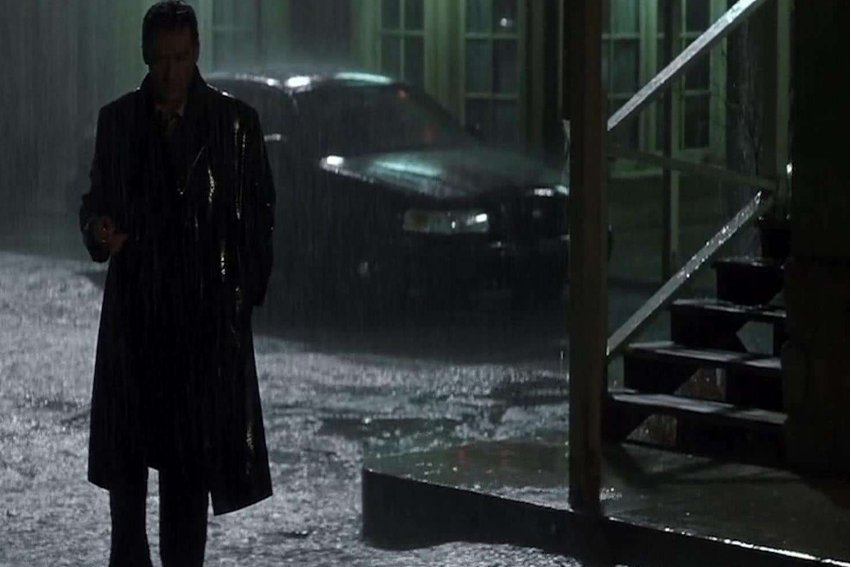 扑朔迷离和哪种动物有关蚂蚁庄园