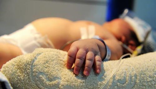 北大教授称应尽早放开人口生育限制，如果开放的话是否会导致我国人口巨增？