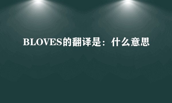 BLOVES的翻译是：什么意思