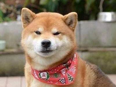 为什么正月初一到初九分别为鸡鸭狗猪羊人马