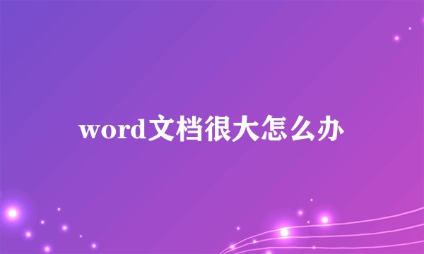 word文档很大怎么办