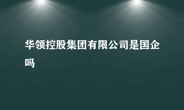 华领控股集团有限公司是国企吗