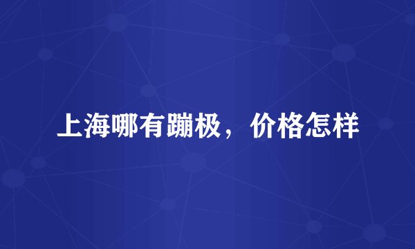 上海哪有蹦极，价格怎样