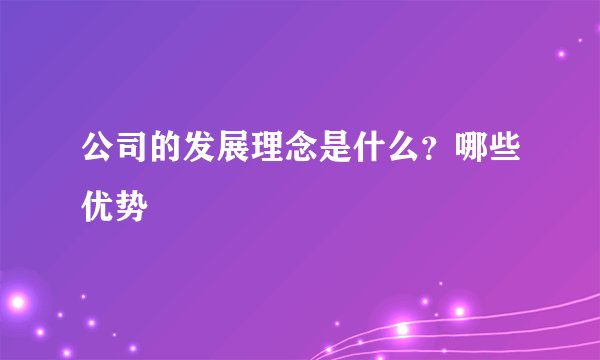 公司的发展理念是什么？哪些优势