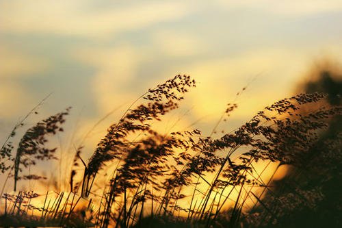 你常说的哪些梗，有哪些梗是出自歌词？