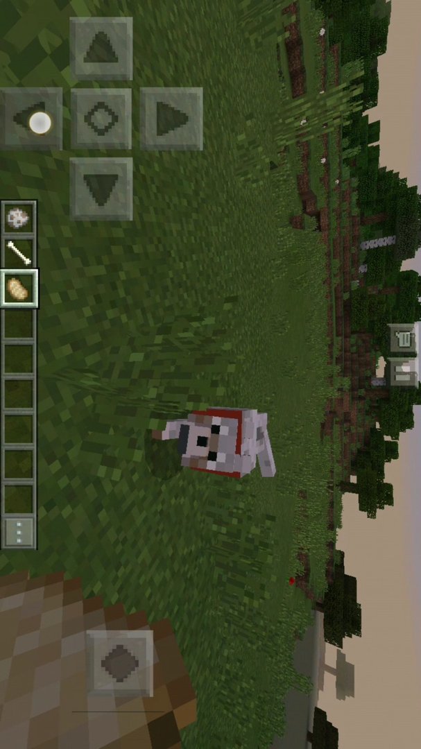 我的世界怎么让驯服的狗跟着