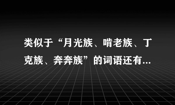 类似于“月光族、啃老族、丁克族、奔奔族”的词语还有哪些？越多越好哦！