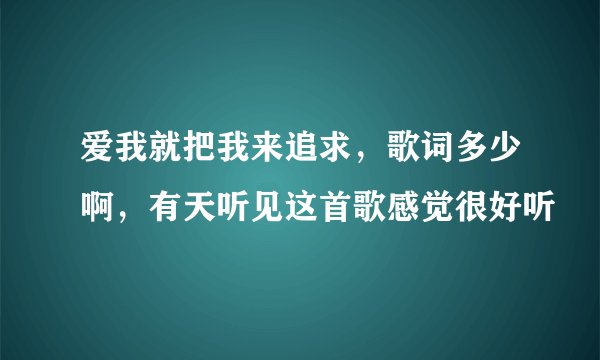 爱我就把我来追求，歌词多少啊，有天听见这首歌感觉很好听