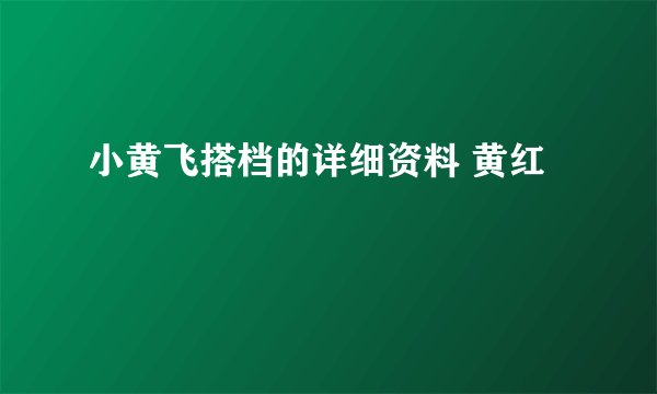 小黄飞搭档的详细资料 黄红