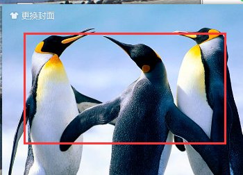 电脑QQ个人资料背景怎么换