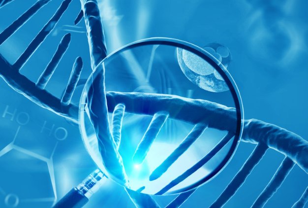 植物为何可以活上千年，它们的长寿秘诀是什么？