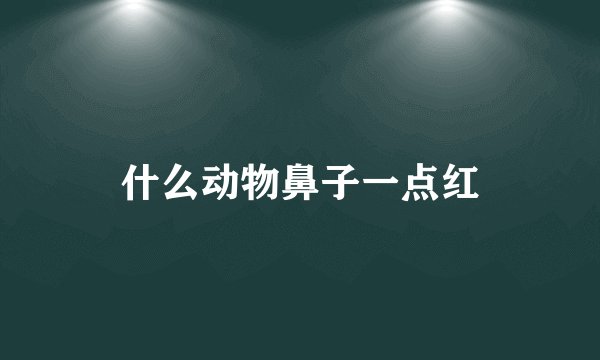 什么动物鼻子一点红