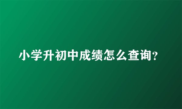 小学升初中成绩怎么查询？