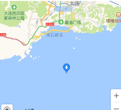 辽宁海域惊现成群大型海兽，为何这些海兽现身于此？