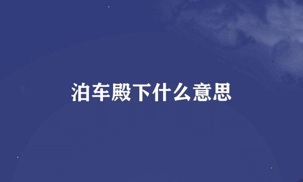 泊车殿下什么意思