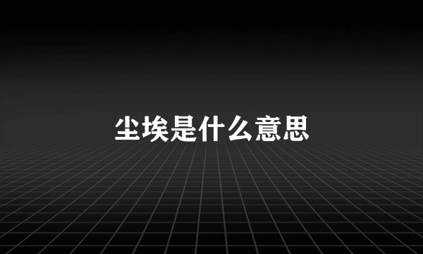 尘埃是什么意思