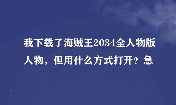 我下载了海贼王2034全人物版人物，但用什么方式打开？急