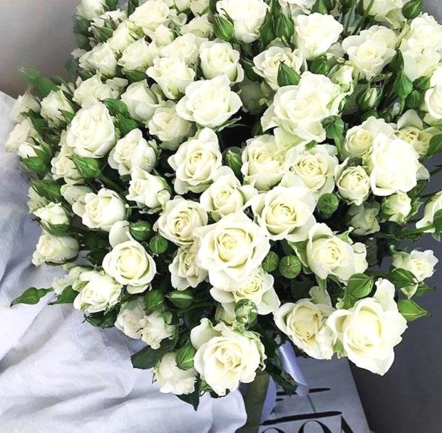 3月14日是什么日子？