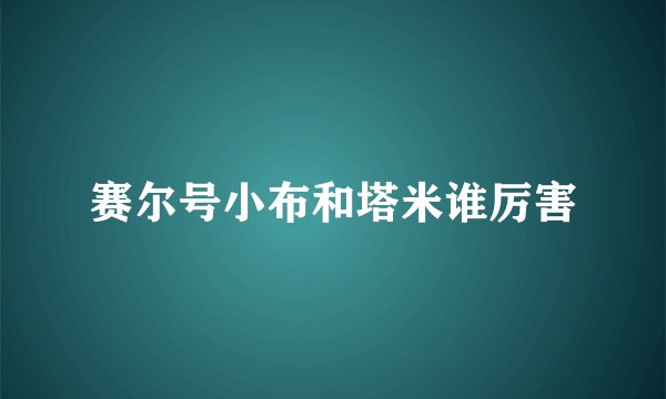 赛尔号小布和塔米谁厉害