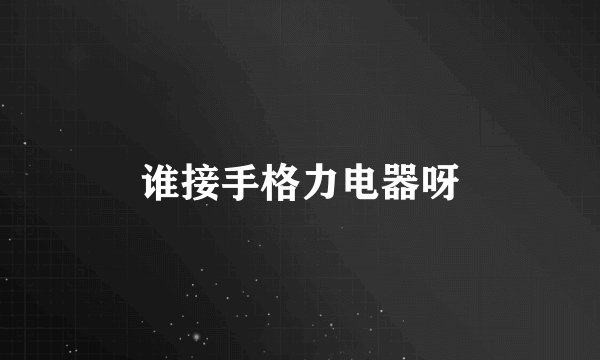 谁接手格力电器呀