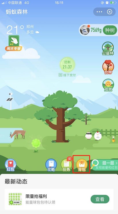 蚂蚁森林怎么防止他人偷取能量 支付宝蚂蚁