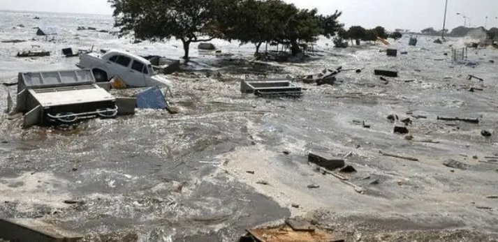 台湾发生6.5级地震,水中鱼群跃出水面,地震会引发海啸吗?