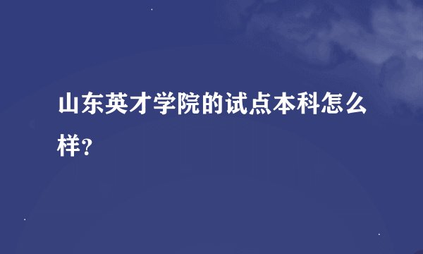 山东英才学院的试点本科怎么样?