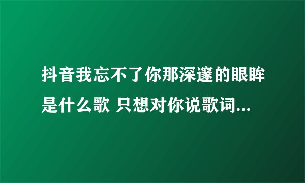 抖音我忘不了你那深邃的眼眸是什么歌 只想对你说歌词完整版介绍