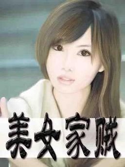 美女家贼的介绍