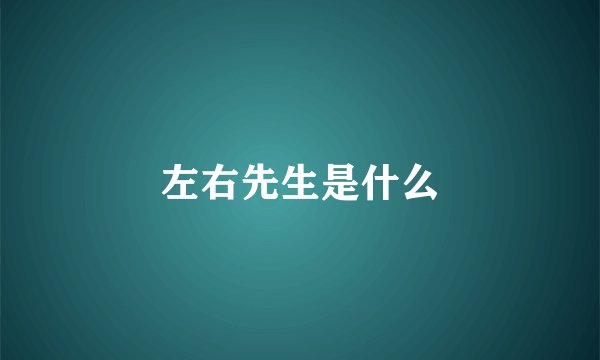 左右先生是什么