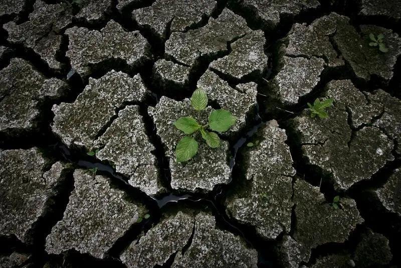 国家防总高度重视,川渝等地严防的旱涝急转,究竟有何危害?