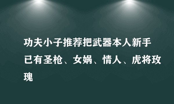 功夫小子推荐把武器本人新手已有圣枪、女娲、情人、虎将玫瑰