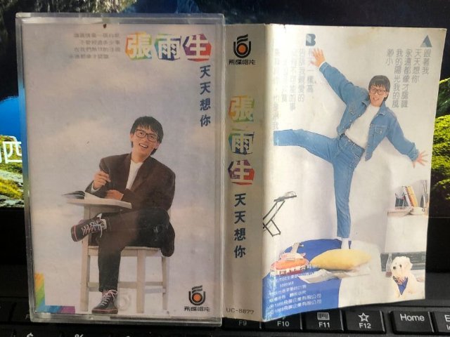 张雨生的十大经典歌曲