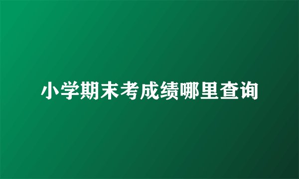 小学期末考成绩哪里查询