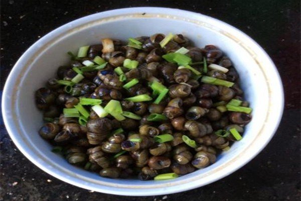 青螺是什么螺？