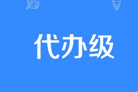 代办级外交关系什么意思