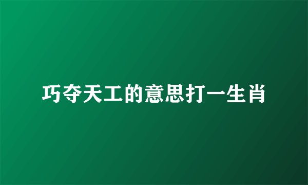 巧夺天工的意思打一生肖