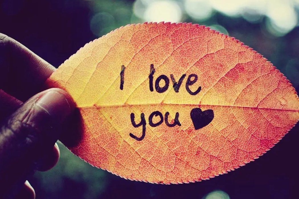 撒浪嘿是什么意思