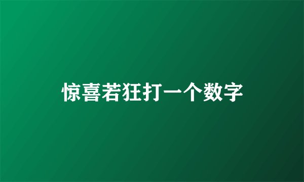 惊喜若狂打一个数字