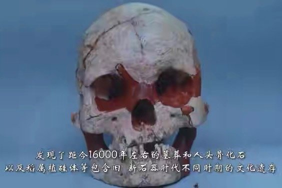 16000年前的人头骨化石被发现，骨化石主人生前是干啥的？有什么地位？