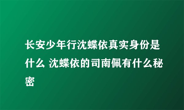长安少年行沈蝶依真实身份是什么 沈蝶依的司南佩有什么秘密