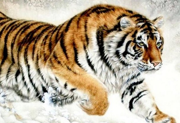 力争上游代表什么肖