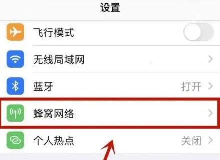 苹果手机数据网络怎么打开