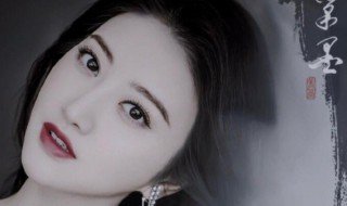 司藤小说讲述的是什么故事 司藤小说介绍