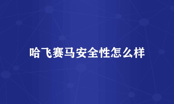 哈飞赛马安全性怎么样