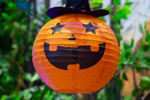 11.1号是什么日子