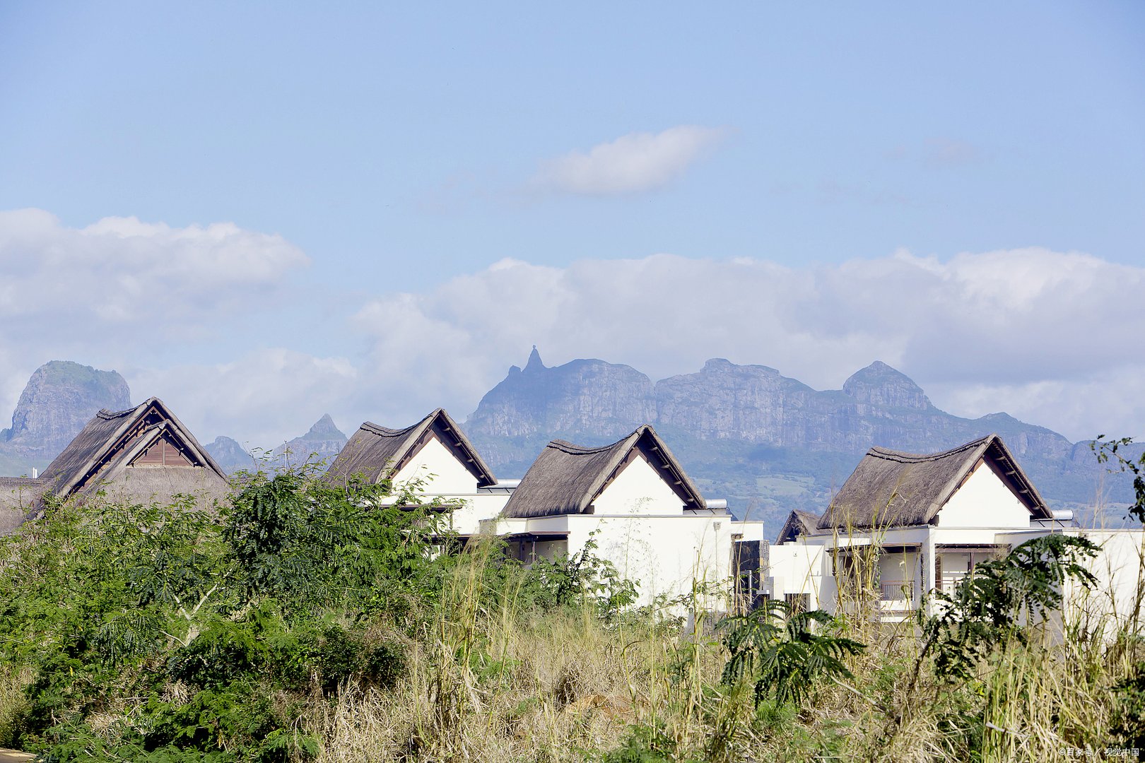 石家庄金伯凡酒店事件