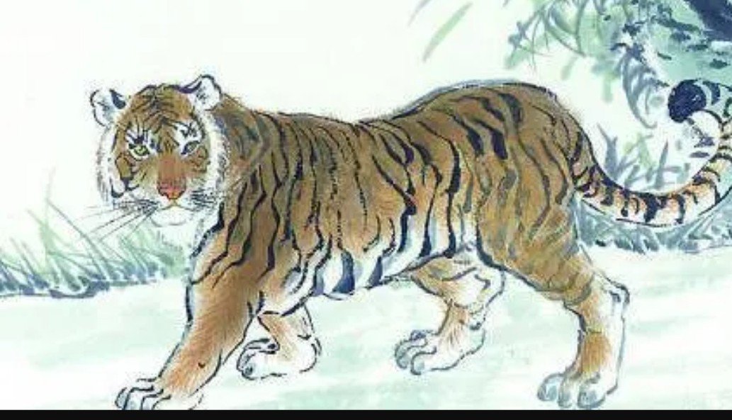 一身是胆打一生肖