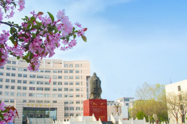 曲阜师范大学招生办公室电话