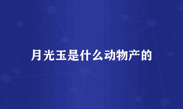 月光玉是什么动物产的